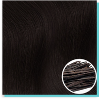 #1c dark brown