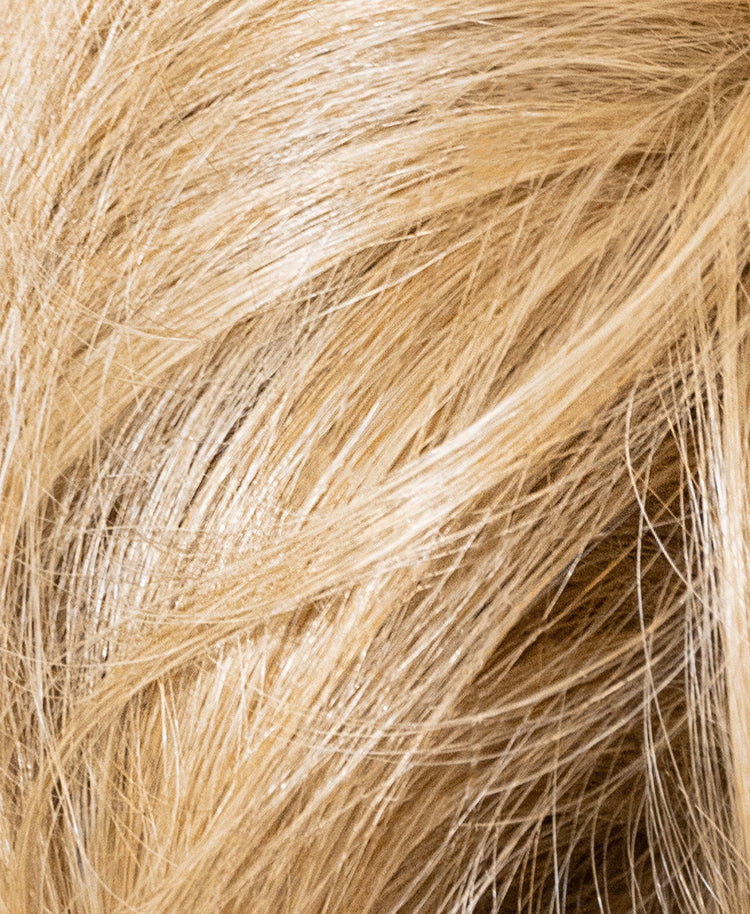 messy bun - honey blonde.