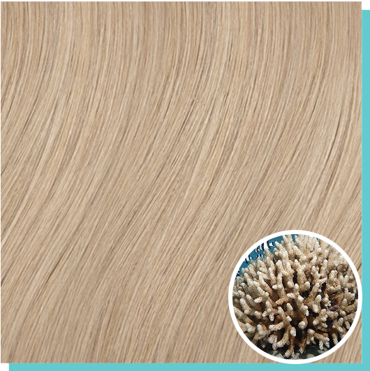 #9 champagne blonde.