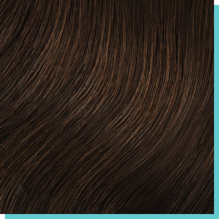 #2 chocolate brown