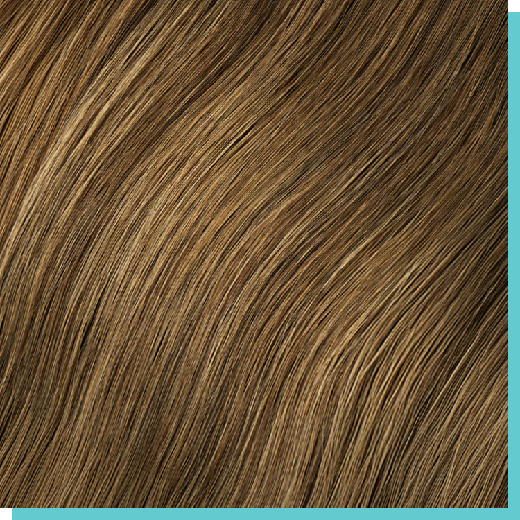 #8 dark blonde.