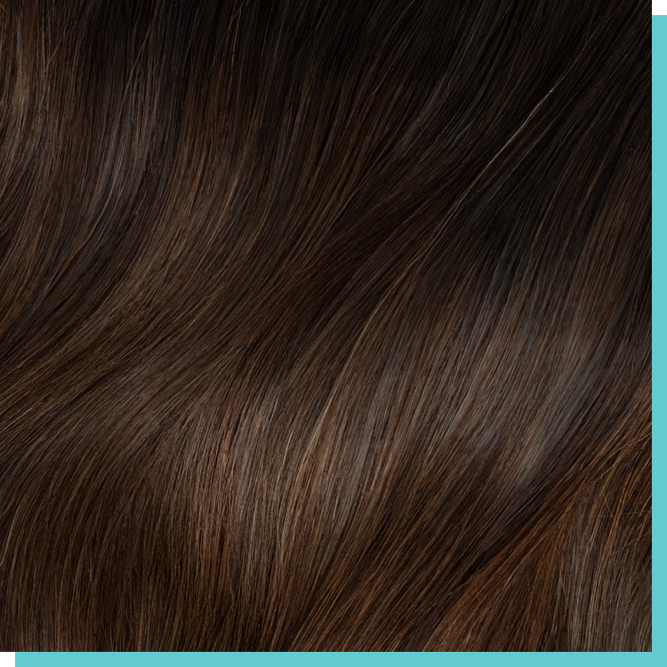 #1b-2-4 dimensional brown.