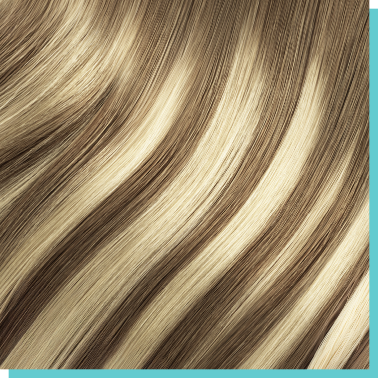 #6p22 rooted beige highlights.