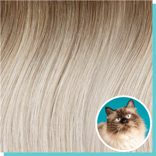 #6r80 shadow root white blonde.