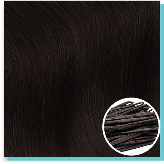 #1c dark brown