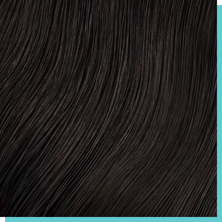 #1c dark brown