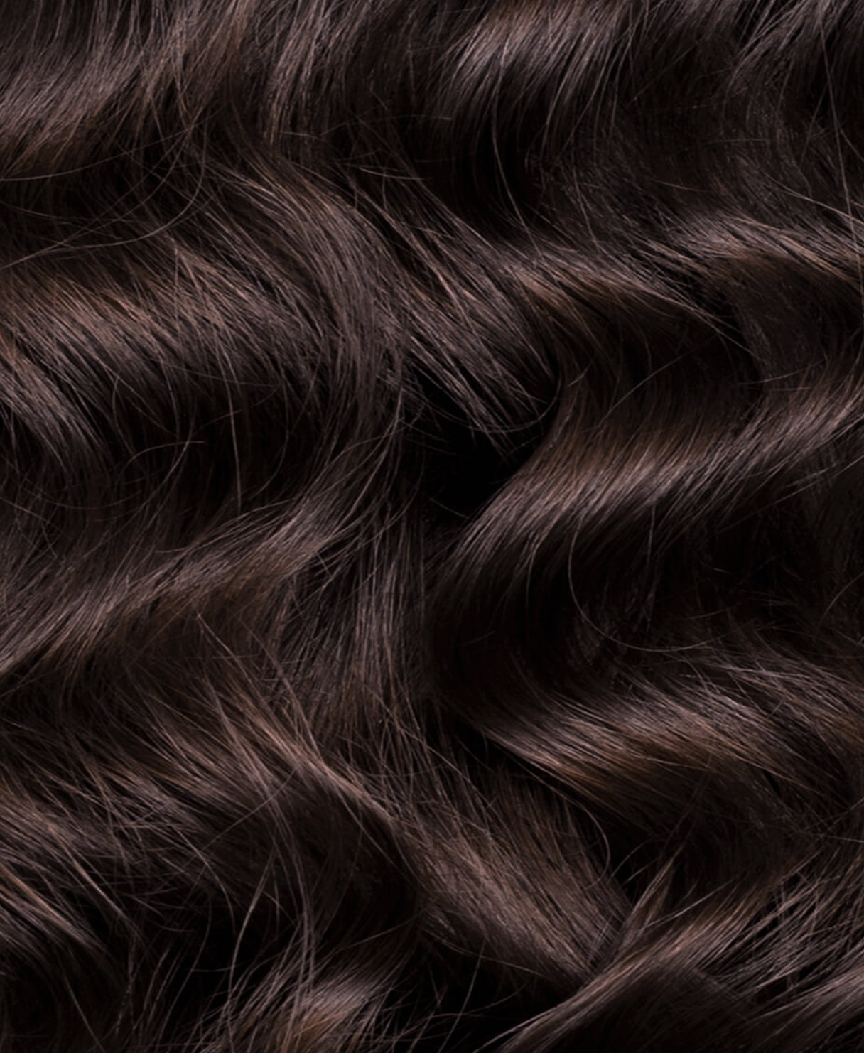 curly ponytail - chocolate brown.